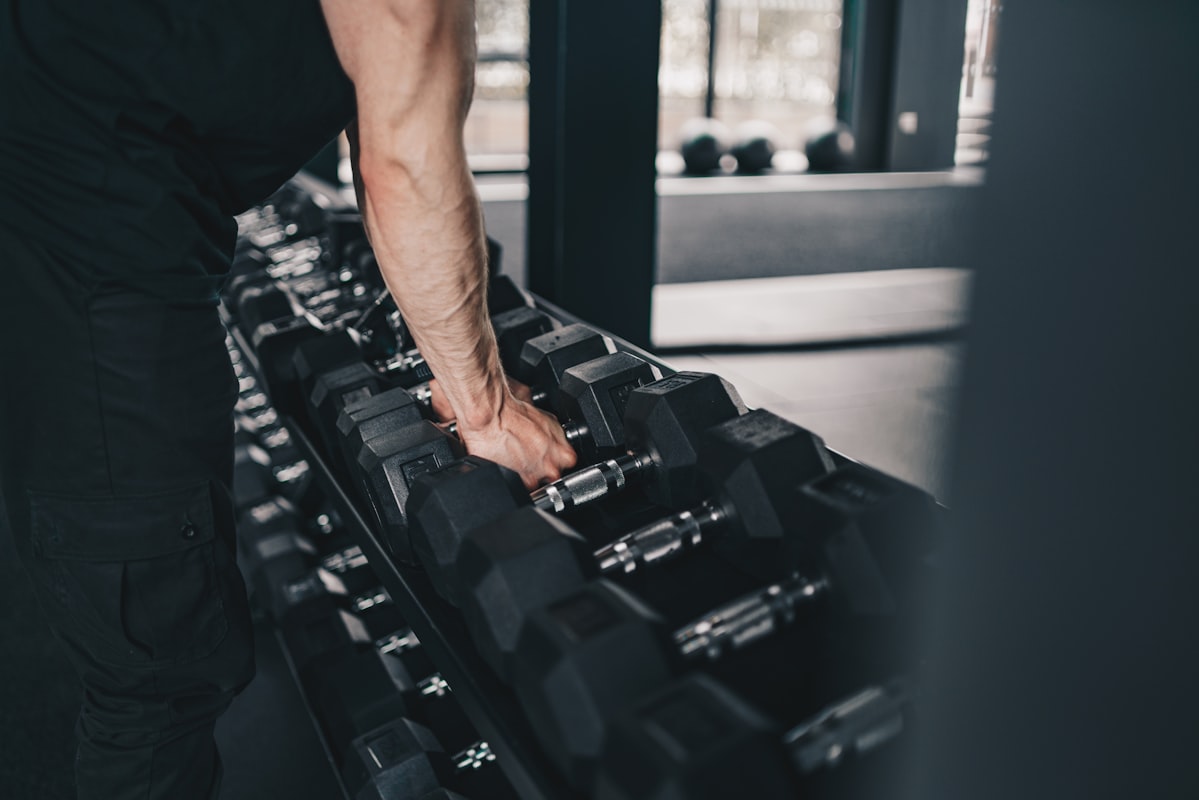 Muscle building meal plan templates